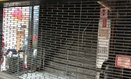 Cinema Love: Between Rue du Fort Neipperg and the Workers’ Cinema. 一篇不同寻常的书评.