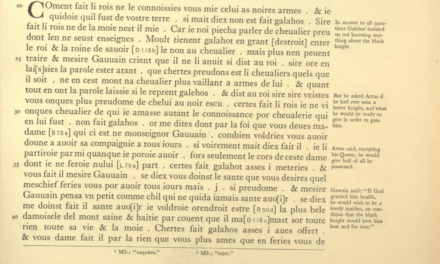 Queer Medieval Literature