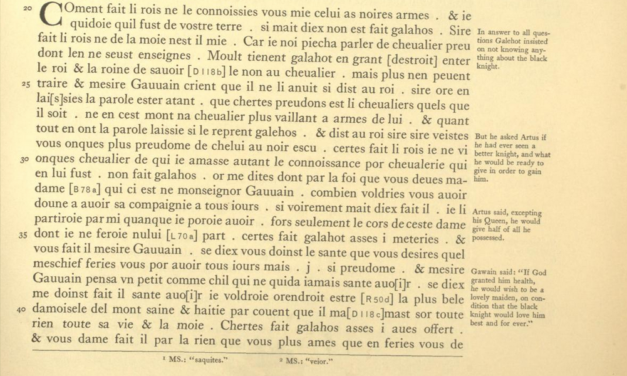 Queer Medieval Literature