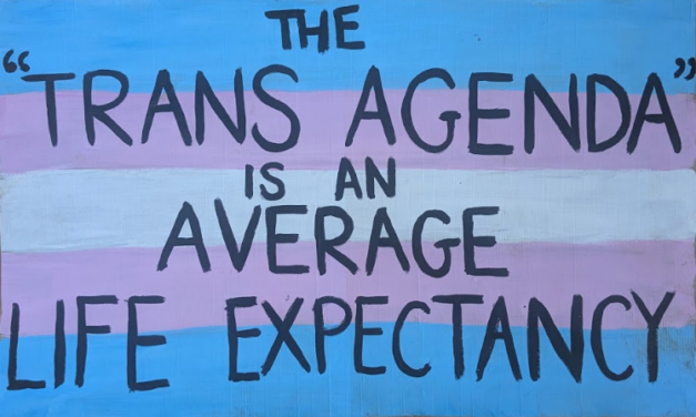 Bien plus qu’une simple fête : la deuxième édition de la Trans Pride Luxembourg le 4 juillet à la Kulturfabrik !